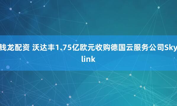 钱龙配资 沃达丰1.75亿欧元收购德国云服务公司Skylink