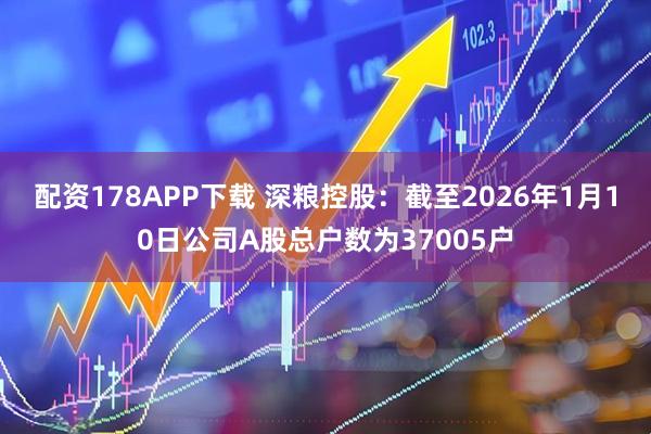 配资178APP下载 深粮控股：截至2026年1月10日公司A股总户数为37005户