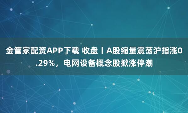 金管家配资APP下载 收盘丨A股缩量震荡沪指涨0.29%，电网设备概念股掀涨停潮