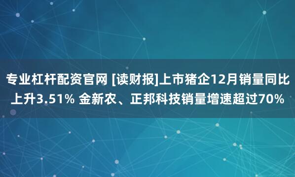 专业杠杆配资官网 [读财报]上市猪企12月销量同比上升3.51% 金新农、正邦科技销量增速超过70%